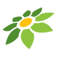 AVJOY